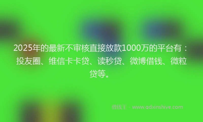 2025年的最新不审核直接放款1000万的平台有：投友圈、维信卡卡贷、读秒贷、微博借钱、微粒贷等。