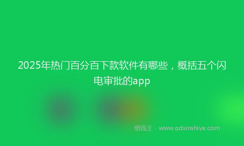 2025年热门百分百下款软件有哪些，概括五个闪电审批的app