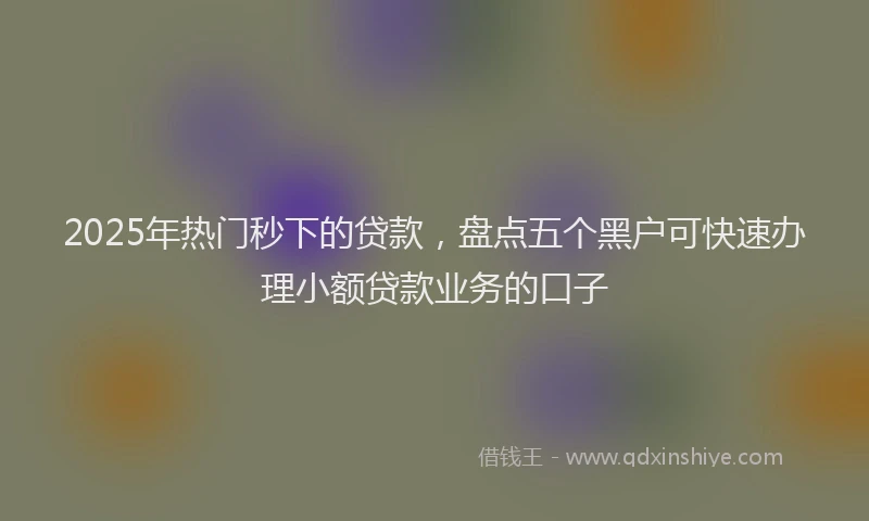 2025年热门秒下的贷款，盘点五个黑户可快速办理小额贷款业务的口子