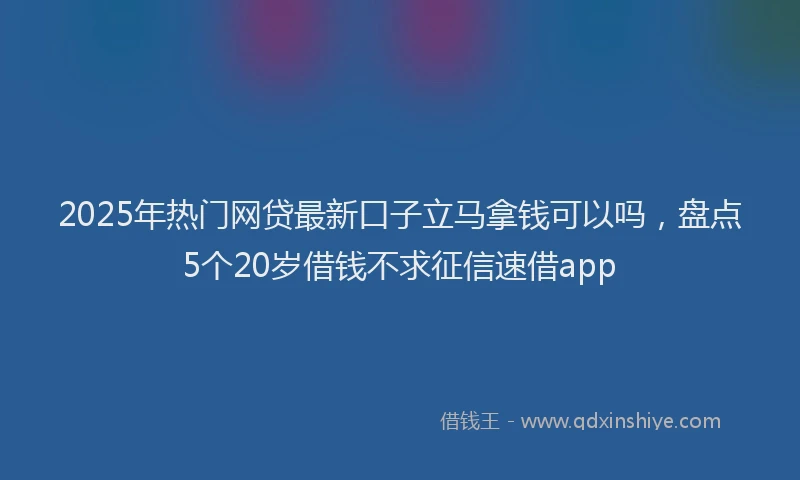2025年热门网贷最新口子立马拿钱可以吗，盘点5个20岁借钱不求征信速借app