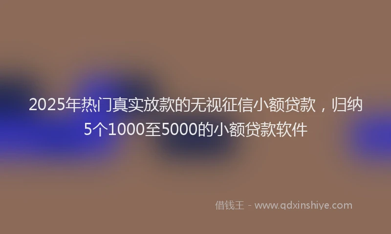 2025年热门真实放款的无视征信小额贷款，归纳5个1000至5000的小额贷款软件