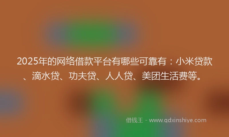 2025年的网络借款平台有哪些可靠有：小米贷款、滴水贷、功夫贷、人人贷、美团生活费等。