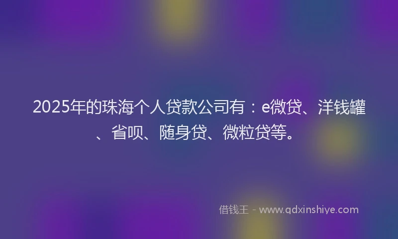 2025年的珠海个人贷款公司有：e微贷、洋钱罐、省呗、随身贷、微粒贷等。