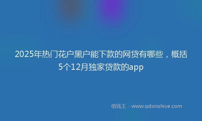 2025年热门花户黑户能下款的网贷有哪些，概括5个12月独家贷款的app