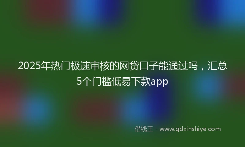 2025年热门极速审核的网贷口子能通过吗，汇总5个门槛低易下款app