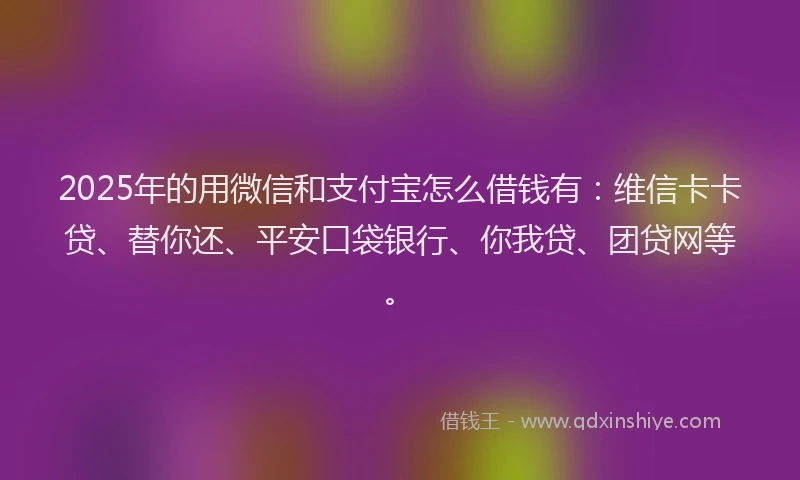 2025年的用微信和支付宝怎么借钱有：维信卡卡贷、替你还、平安口袋银行、你我贷、团贷网等。