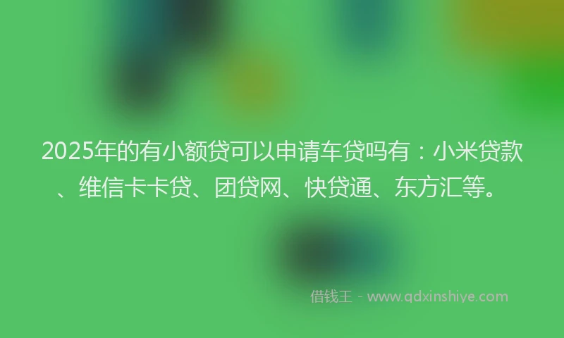 2025年的有小额贷可以申请车贷吗有：小米贷款、维信卡卡贷、团贷网、快贷通、东方汇等。