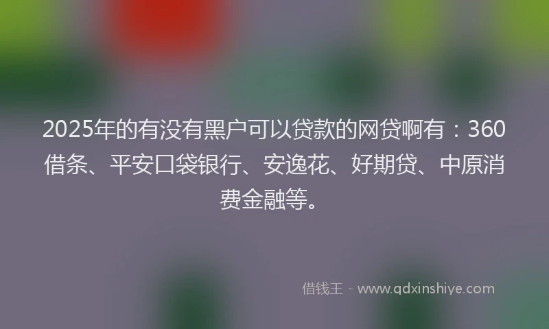 2025年的有没有黑户可以贷款的网贷啊有：360借条、平安口袋银行、安逸花、好期贷、中原消费金融等。