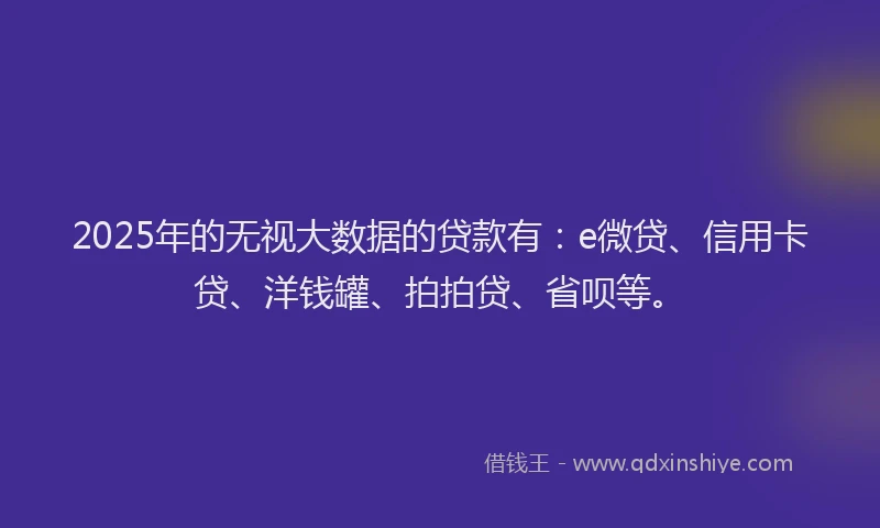 2025年的无视大数据的贷款有：e微贷、信用卡贷、洋钱罐、拍拍贷、省呗等。