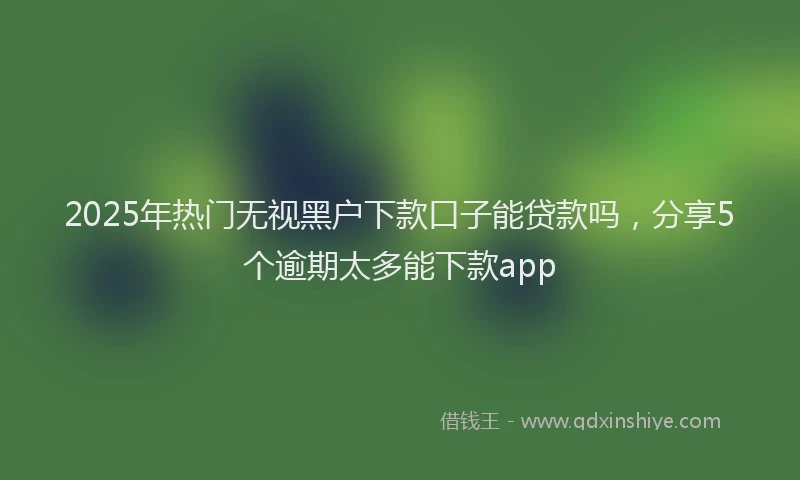 2025年热门无视黑户下款口子能贷款吗，分享5个逾期太多能下款app