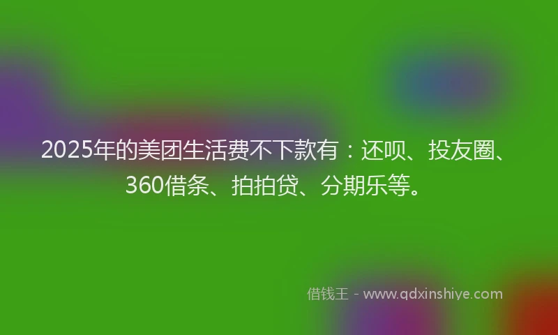 2025年的美团生活费不下款有：还呗、投友圈、360借条、拍拍贷、分期乐等。