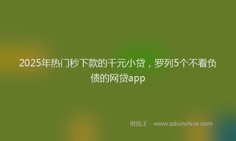 2025年热门秒下款的千元小贷，罗列5个不看负债的网贷app
