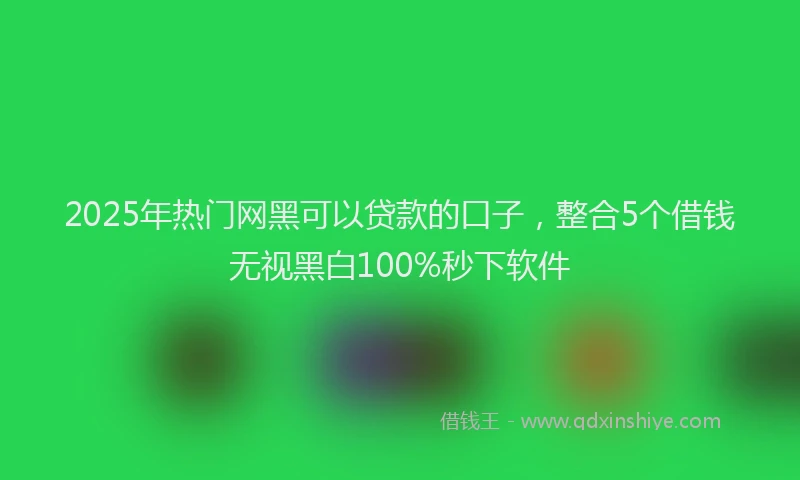2025年热门网黑可以贷款的口子，整合5个借钱无视黑白100%秒下软件