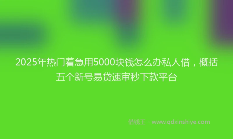 2025年热门着急用5000块钱怎么办私人借，概括五个新号易贷速审秒下款平台