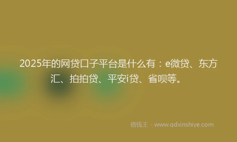 2025年的网贷口子平台是什么有：e微贷、东方汇、拍拍贷、平安i贷、省呗等。