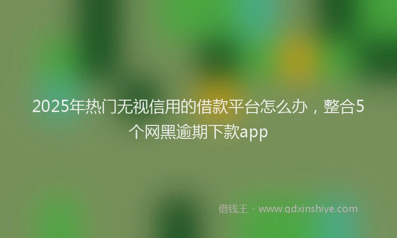 2025年热门无视信用的借款平台怎么办，整合5个网黑逾期下款app