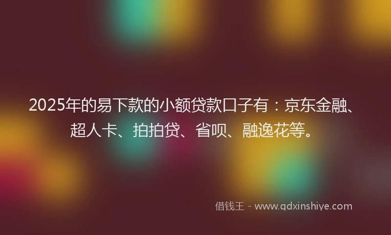2025年的易下款的小额贷款口子有：京东金融、超人卡、拍拍贷、省呗、融逸花等。