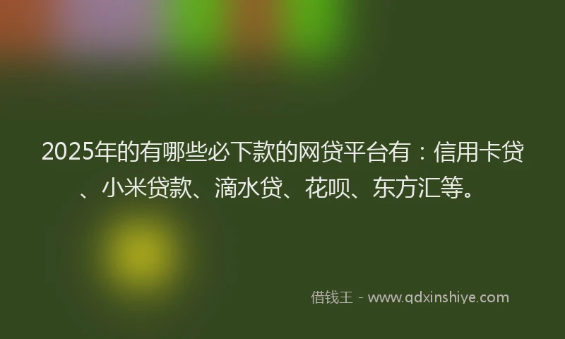 2025年的有哪些必下款的网贷平台有：信用卡贷、小米贷款、滴水贷、花呗、东方汇等。