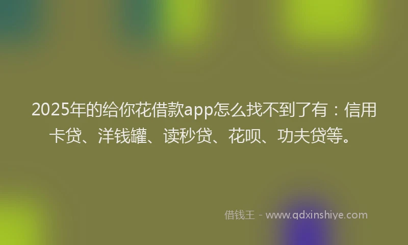 2025年的给你花借款app怎么找不到了有：信用卡贷、洋钱罐、读秒贷、花呗、功夫贷等。