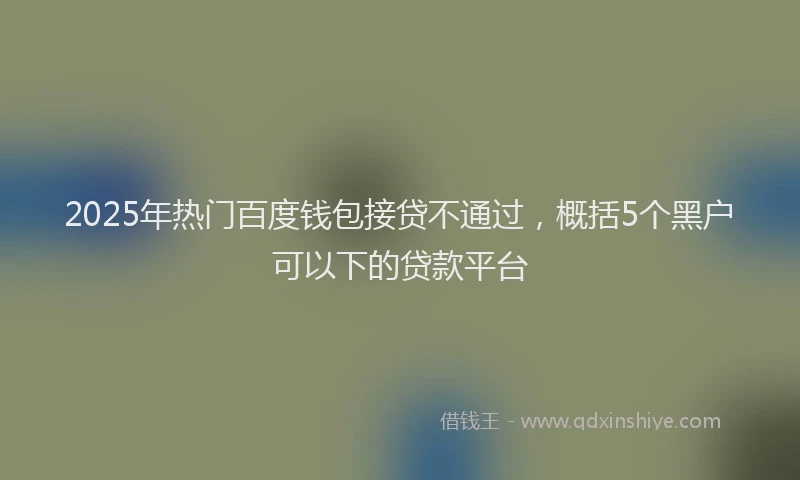 2025年热门百度钱包接贷不通过，概括5个黑户可以下的贷款平台