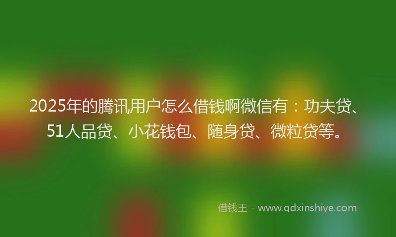 2025年的腾讯用户怎么借钱啊微信有：功夫贷、51人品贷、小花钱包、随身贷、微粒贷等。