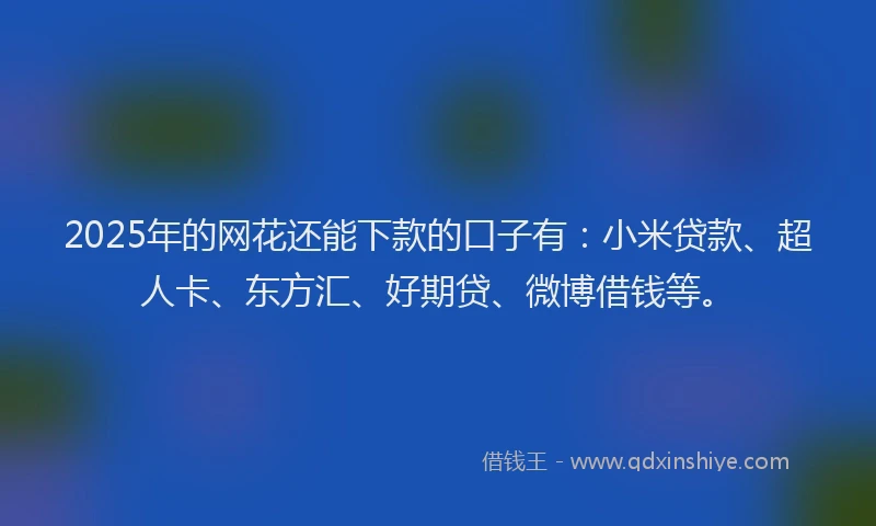 2025年的网花还能下款的口子有：小米贷款、超人卡、东方汇、好期贷、微博借钱等。