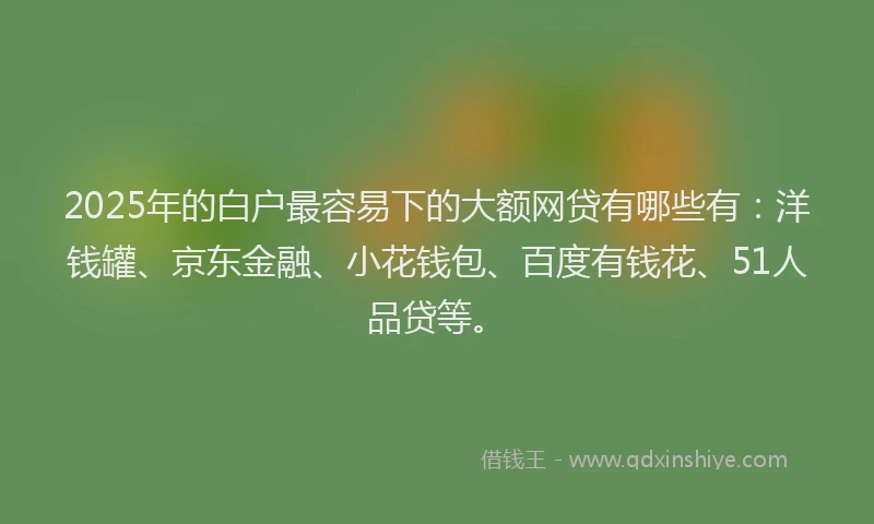 2025年的白户最容易下的大额网贷有哪些有：洋钱罐、京东金融、小花钱包、百度有钱花、51人品贷等。
