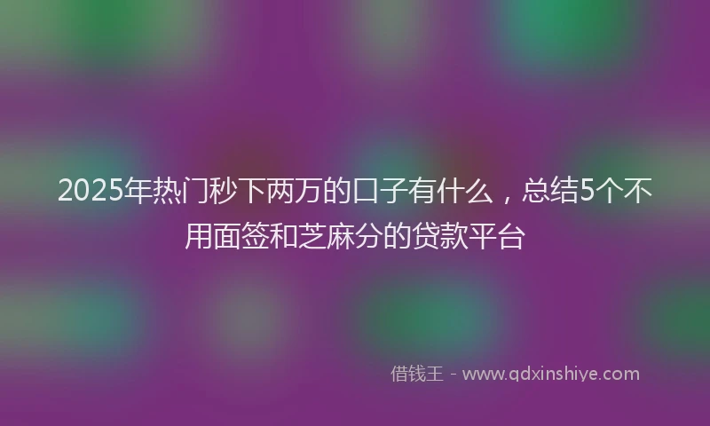2025年热门秒下两万的口子有什么，总结5个不用面签和芝麻分的贷款平台