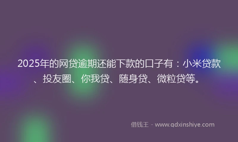 2025年的网贷逾期还能下款的口子有：小米贷款、投友圈、你我贷、随身贷、微粒贷等。