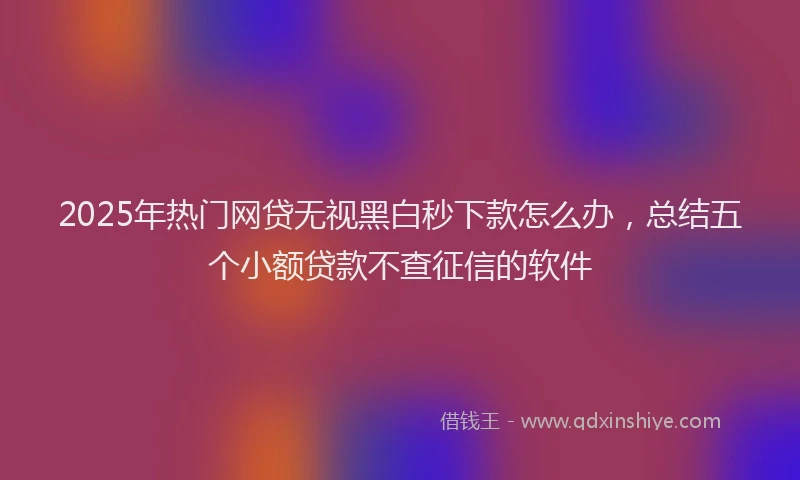 2025年热门网贷无视黑白秒下款怎么办，总结五个小额贷款不查征信的软件