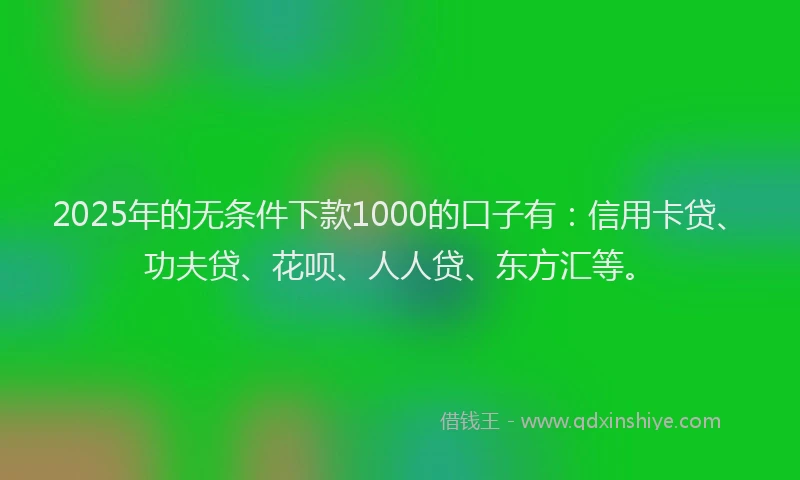 2025年的无条件下款1000的口子有：信用卡贷、功夫贷、花呗、人人贷、东方汇等。