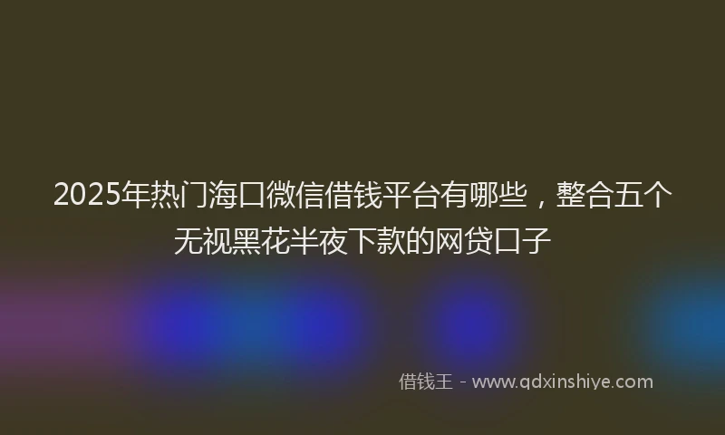 2025年热门海口微信借钱平台有哪些，整合五个无视黑花半夜下款的网贷口子