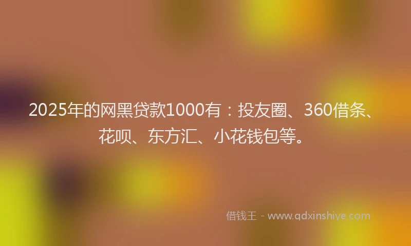 2025年的网黑贷款1000有：投友圈、360借条、花呗、东方汇、小花钱包等。