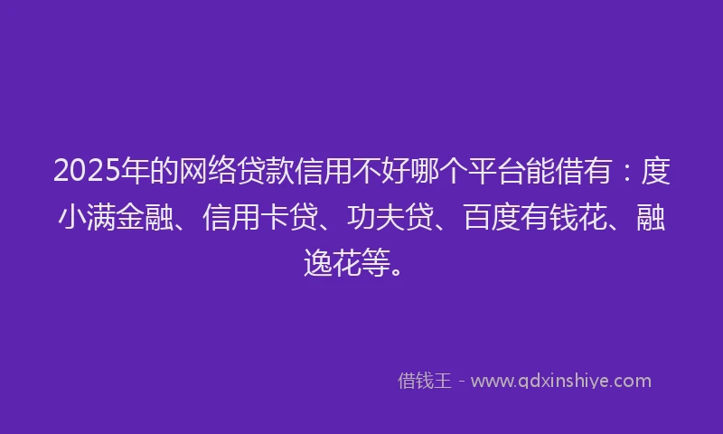 2025年的网络贷款信用不好哪个平台能借有：度小满金融、信用卡贷、功夫贷、百度有钱花、融逸花等。