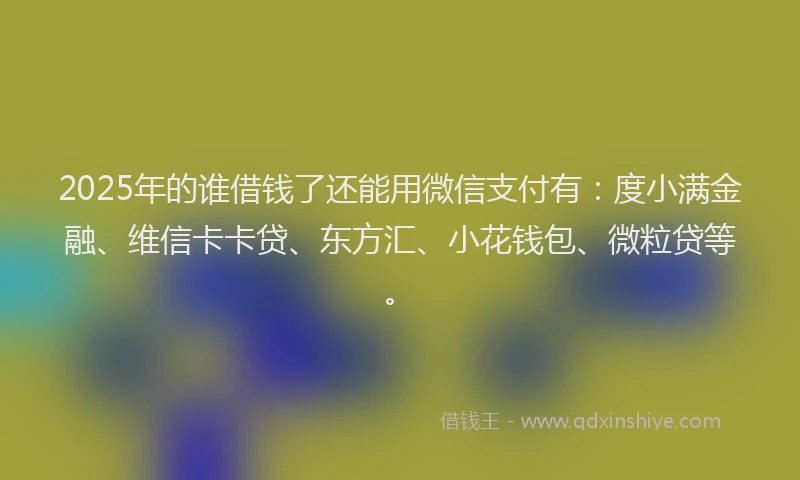 2025年的谁借钱了还能用微信支付有：度小满金融、维信卡卡贷、东方汇、小花钱包、微粒贷等。