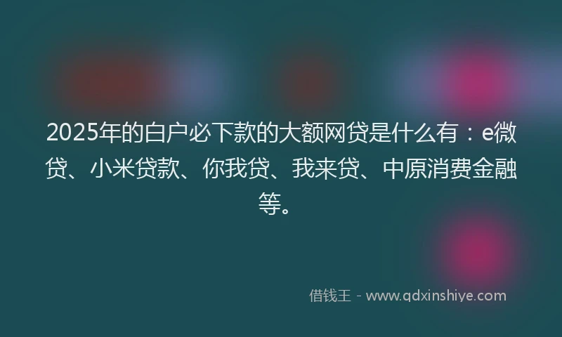 2025年的白户必下款的大额网贷是什么有：e微贷、小米贷款、你我贷、我来贷、中原消费金融等。