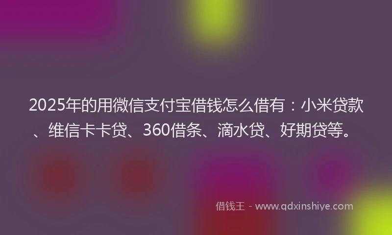 2025年的用微信支付宝借钱怎么借有：小米贷款、维信卡卡贷、360借条、滴水贷、好期贷等。