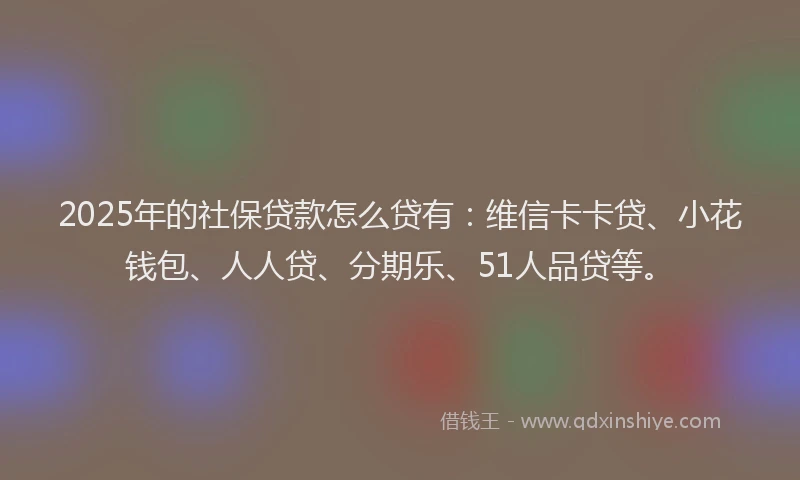 2025年的社保贷款怎么贷有：维信卡卡贷、小花钱包、人人贷、分期乐、51人品贷等。