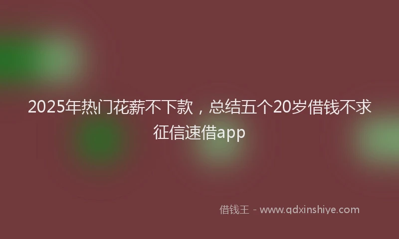 2025年热门花薪不下款，总结五个20岁借钱不求征信速借app