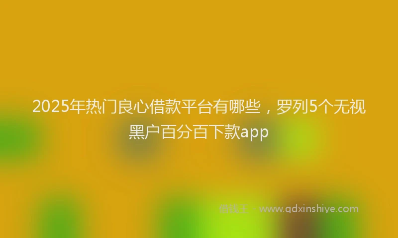 2025年热门良心借款平台有哪些，罗列5个无视黑户百分百下款app