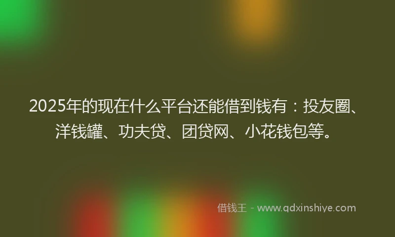 2025年的现在什么平台还能借到钱有：投友圈、洋钱罐、功夫贷、团贷网、小花钱包等。