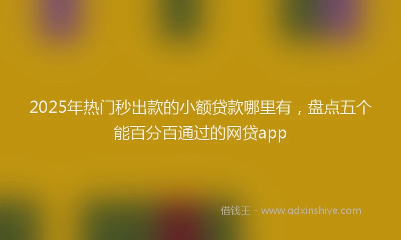 2025年热门秒出款的小额贷款哪里有，盘点五个能百分百通过的网贷app