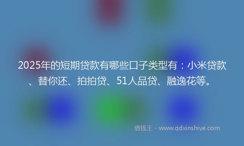 2025年的短期贷款有哪些口子类型有：小米贷款、替你还、拍拍贷、51人品贷、融逸花等。