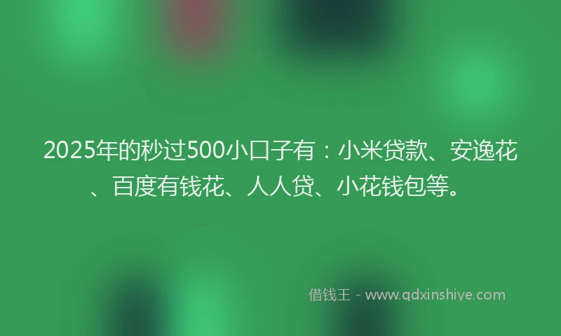 2025年的秒过500小口子有：小米贷款、安逸花、百度有钱花、人人贷、小花钱包等。