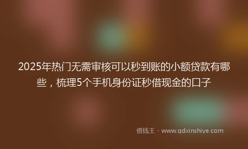 2025年热门无需审核可以秒到账的小额贷款有哪些，梳理5个手机身份证秒借现金的口子