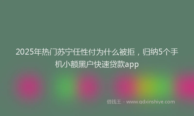 2025年热门苏宁任性付为什么被拒，归纳5个手机小额黑户快速贷款app