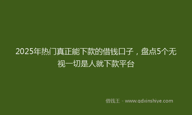 2025年热门真正能下款的借钱口子，盘点5个无视一切是人就下款平台