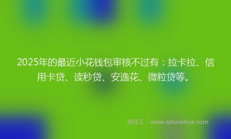 2025年的最近小花钱包审核不过有：拉卡拉、信用卡贷、读秒贷、安逸花、微粒贷等。