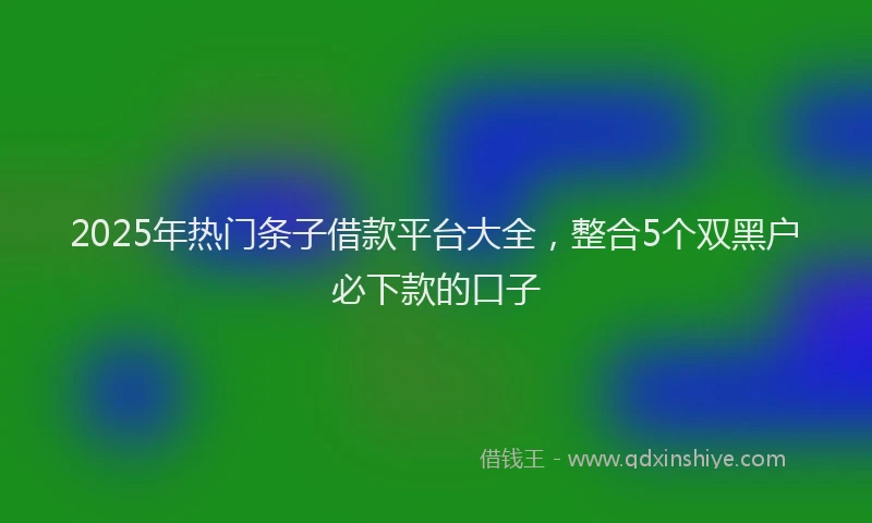 2025年热门条子借款平台大全，整合5个双黑户必下款的口子