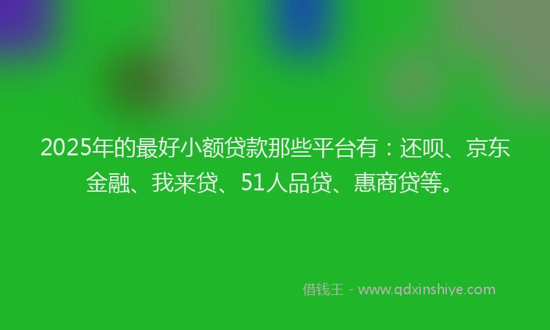 2025年的最好小额贷款那些平台有：还呗、京东金融、我来贷、51人品贷、惠商贷等。